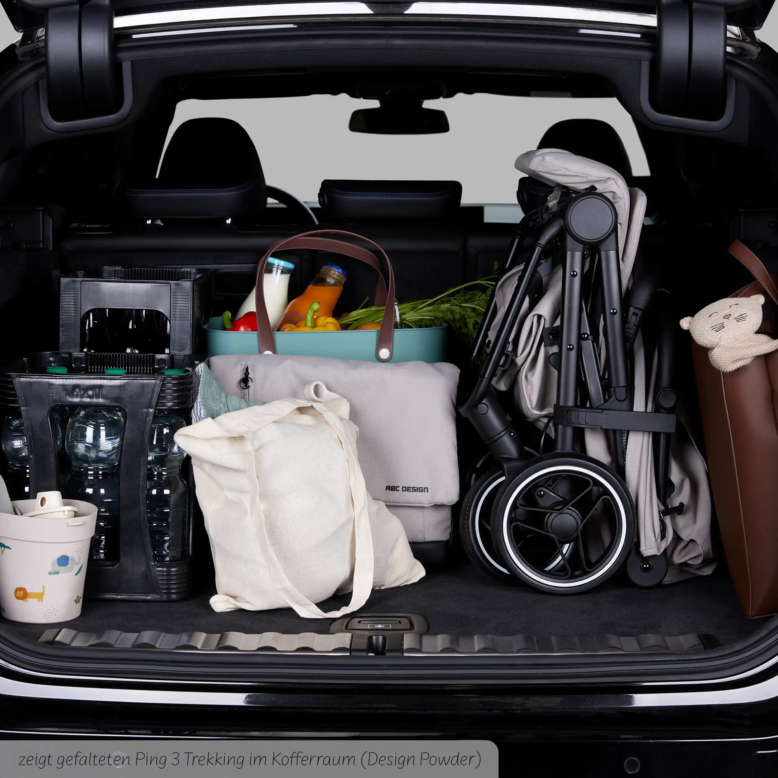 Ping 3 Trekking Travel Buggy - Leo