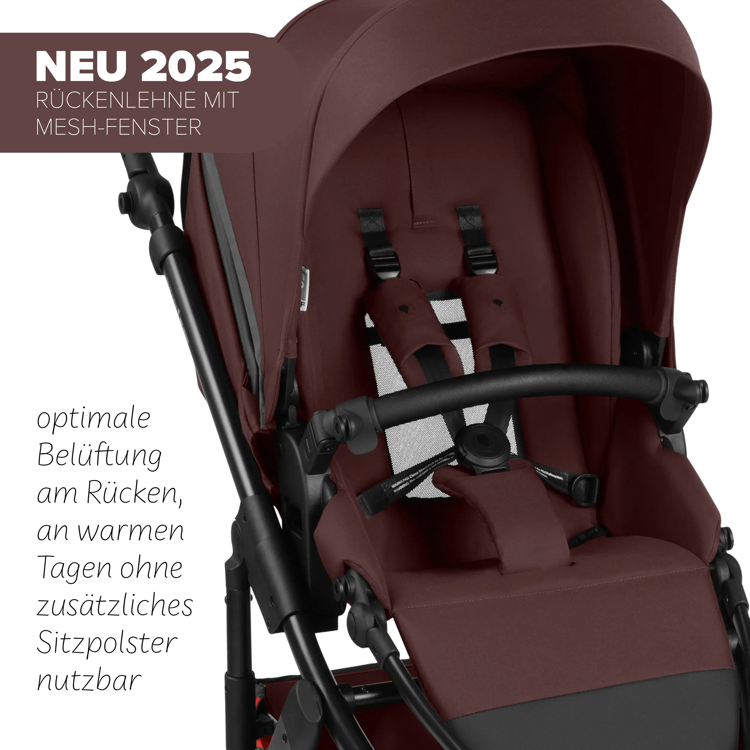 2in1 Stroller Salsa 5 Run - Umbra