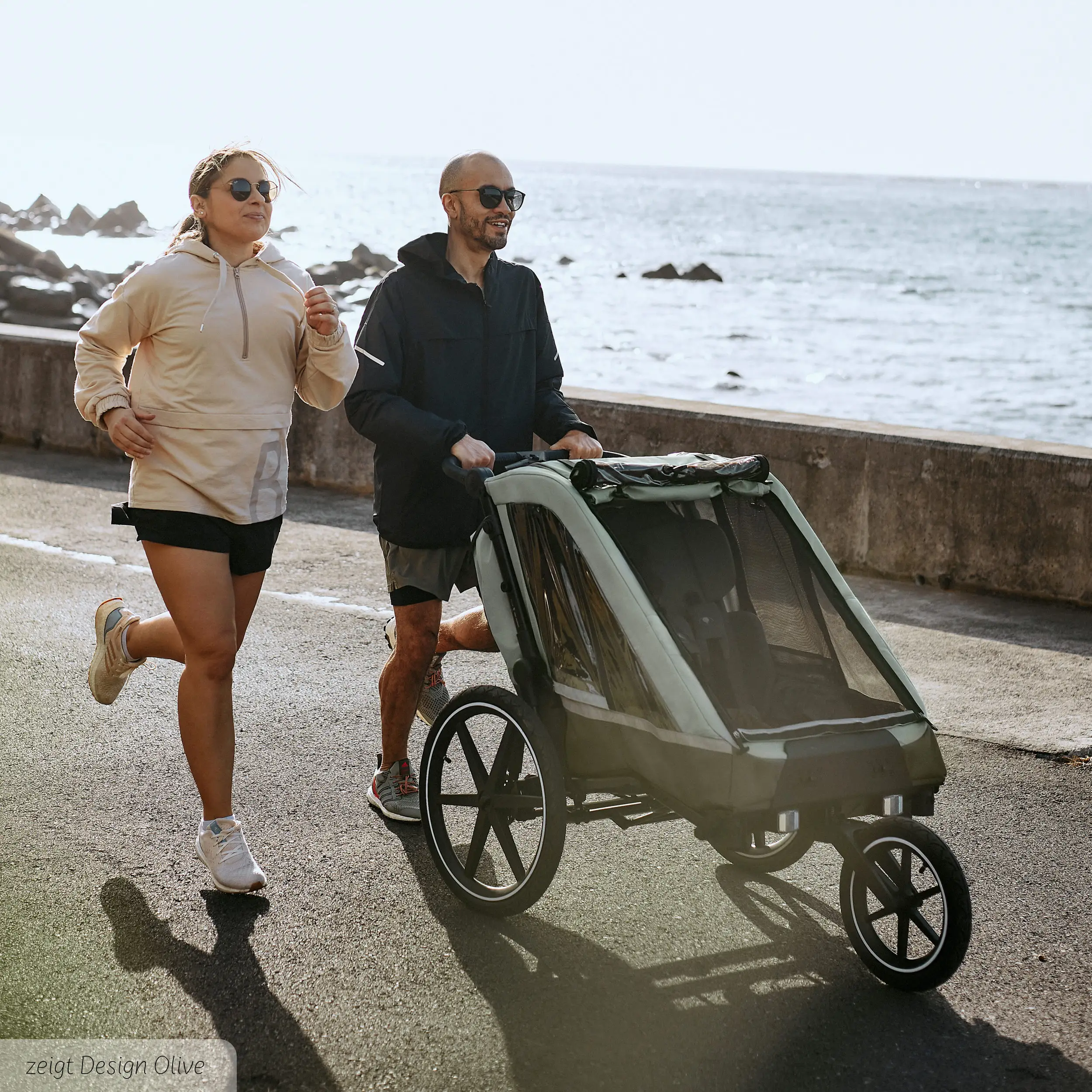 Tour 2 bicycle trailer with 2 comfortable seats & air wheels - Falcon