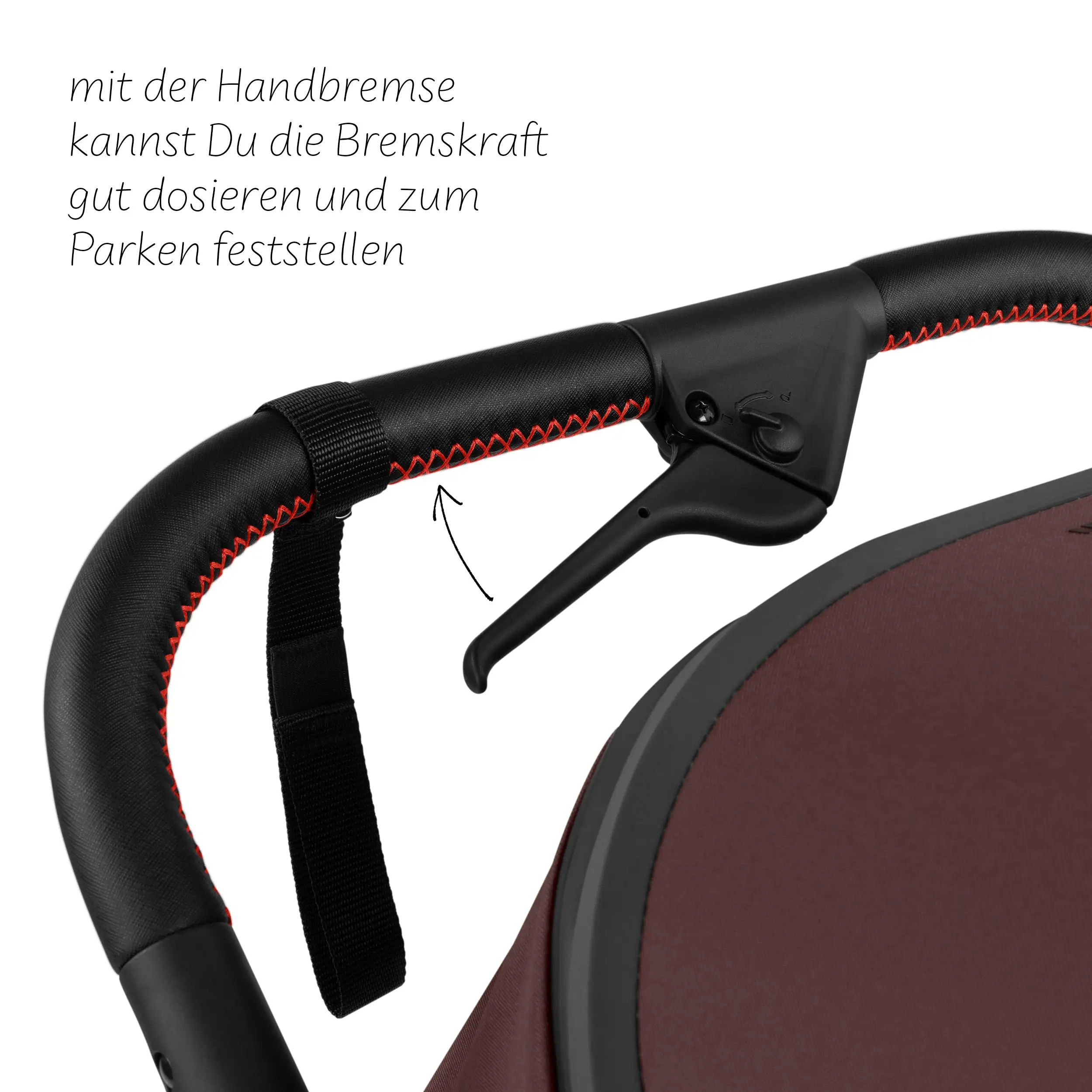 2in1 Stroller Salsa 5 Run - Umbra