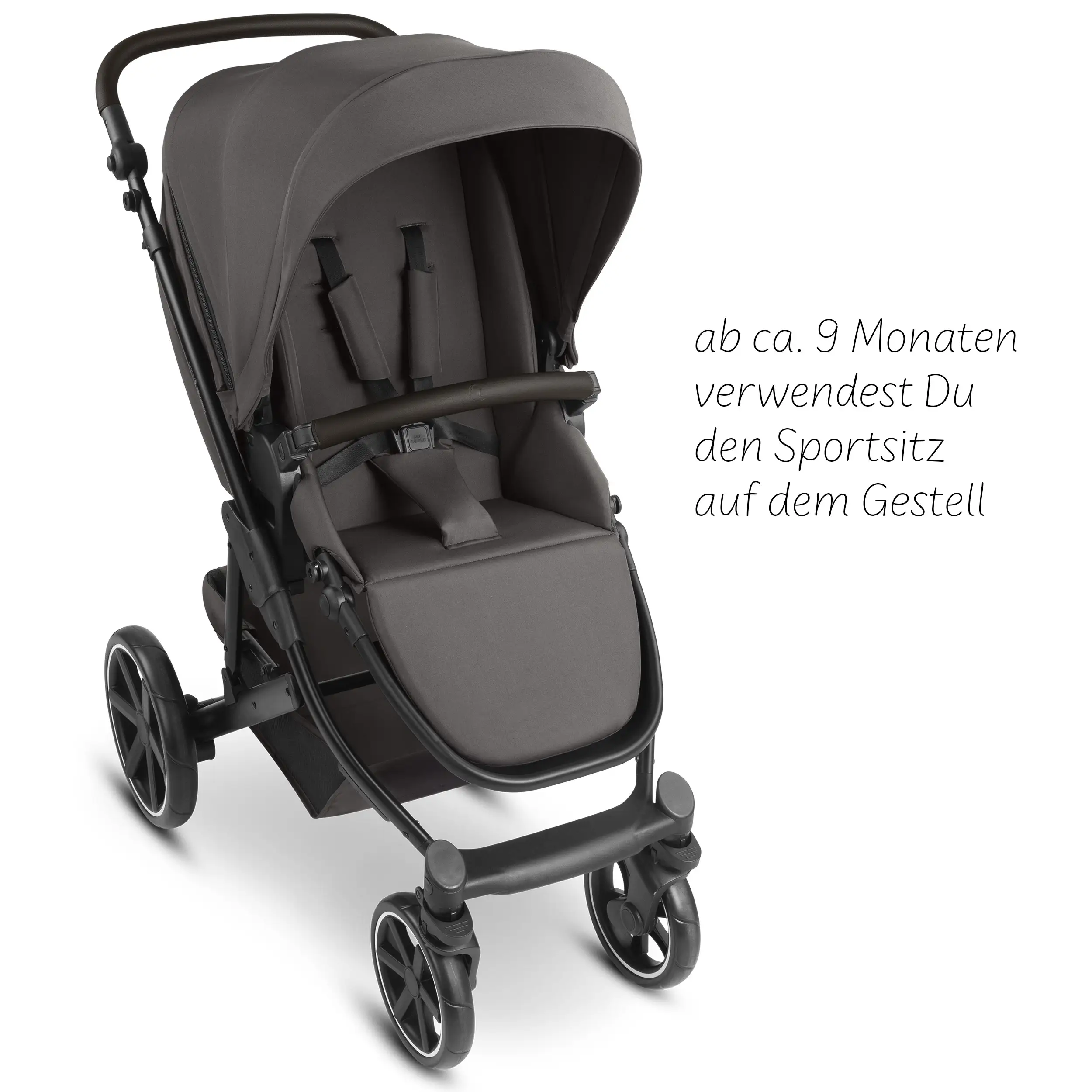 3-in-1 Sierra Stroller Set - Nut