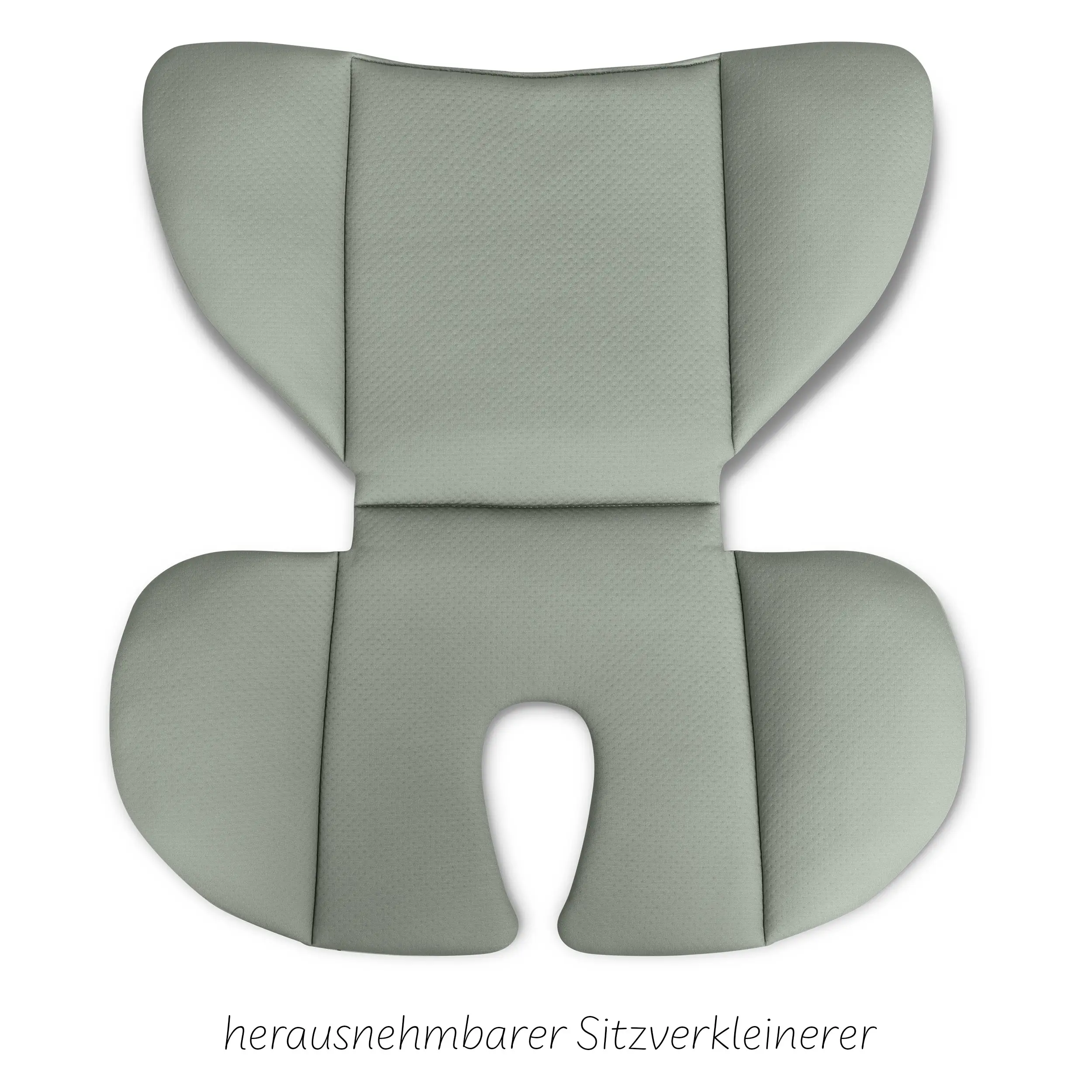 Car Seat Aspen 2 Fix i-Size (from 15 months to 12 years) - Sage